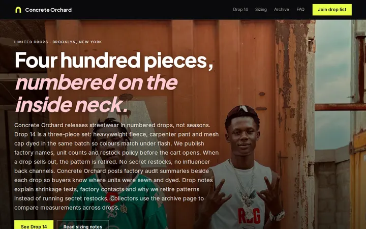 Streetwear Brand website template preview