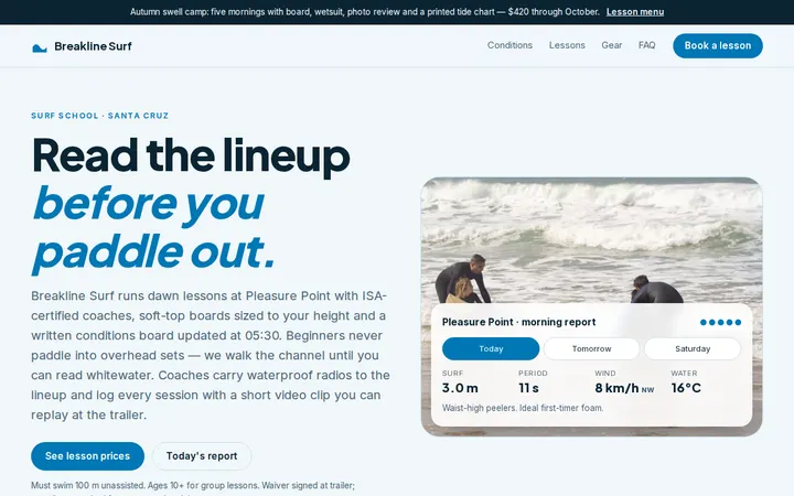 Surf School website template preview