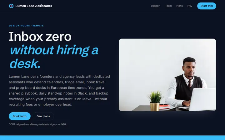 Lumen Lane Assistants website template preview
