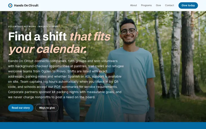 Volunteer Network website template preview