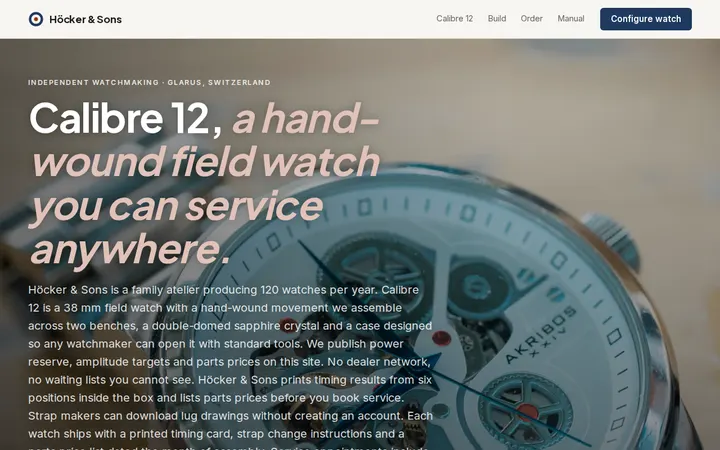 Watch Brand website template preview